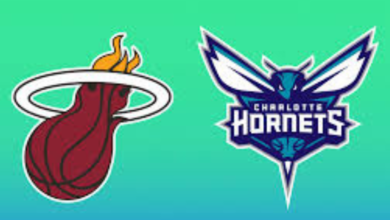 miami heat vs charlotte hornets match player stats